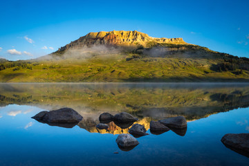 送你两本关于植物的书