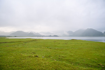 动物励志小故事