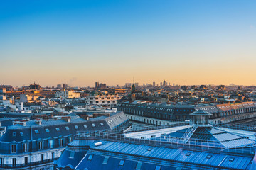 动物励志小故事