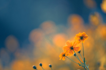 关于美术教学理论的书籍或杂志