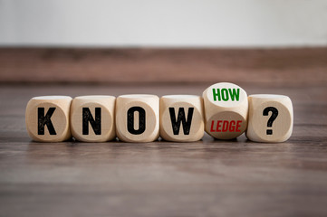 动物励志小故事