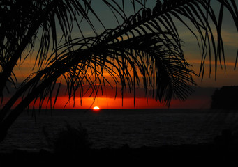 科普讲解大赛主题名称大全