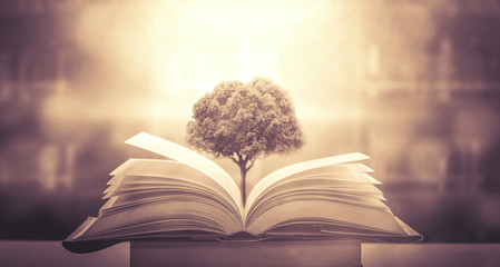 动物励志小故事