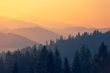 幼儿园家长开放日活动方案及流程