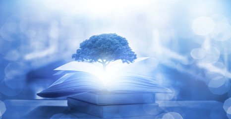 动物励志小故事