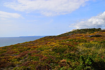 送你两本关于植物的书
