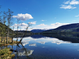 看看我们的地球好词好句摘抄