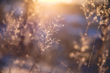 广东人早餐吃什么？