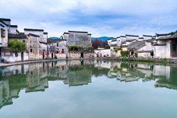 送你两本关于植物的书