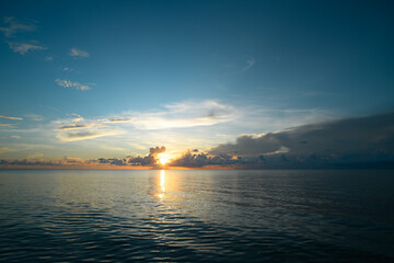 关于专注成功的事例