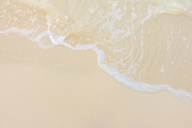 科普讲解大赛主题名称大全