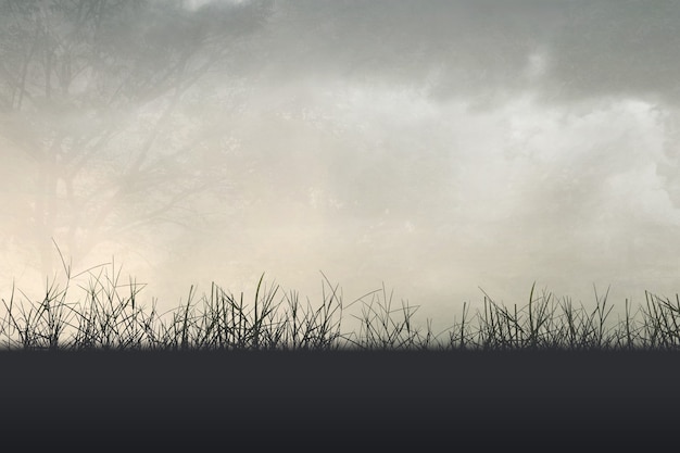 幼儿园家长开放日活动方案及流程