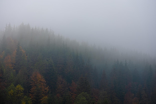 尺码X L XL XXL具体都是多大的