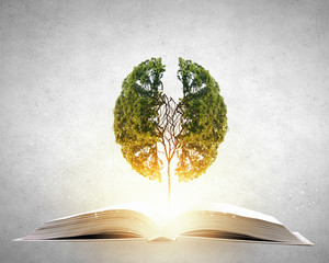 关于美术教学理论的书籍或杂志