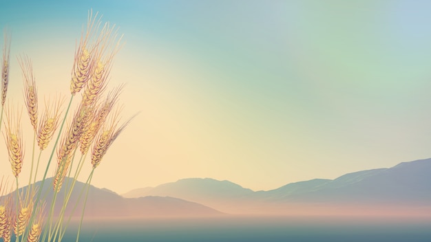 广东人早餐吃什么？