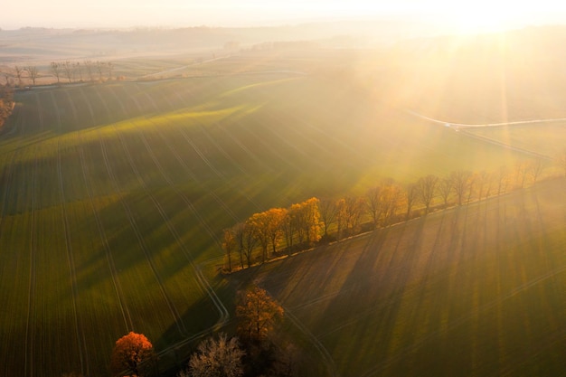 看看我们的地球好词好句摘抄