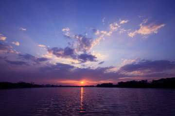 动物励志小故事