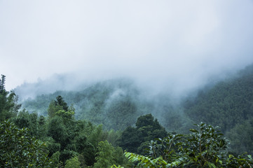 广东人早餐吃什么？